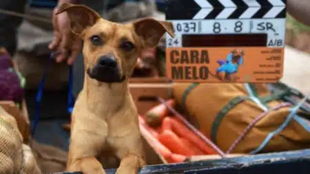 Caramelo