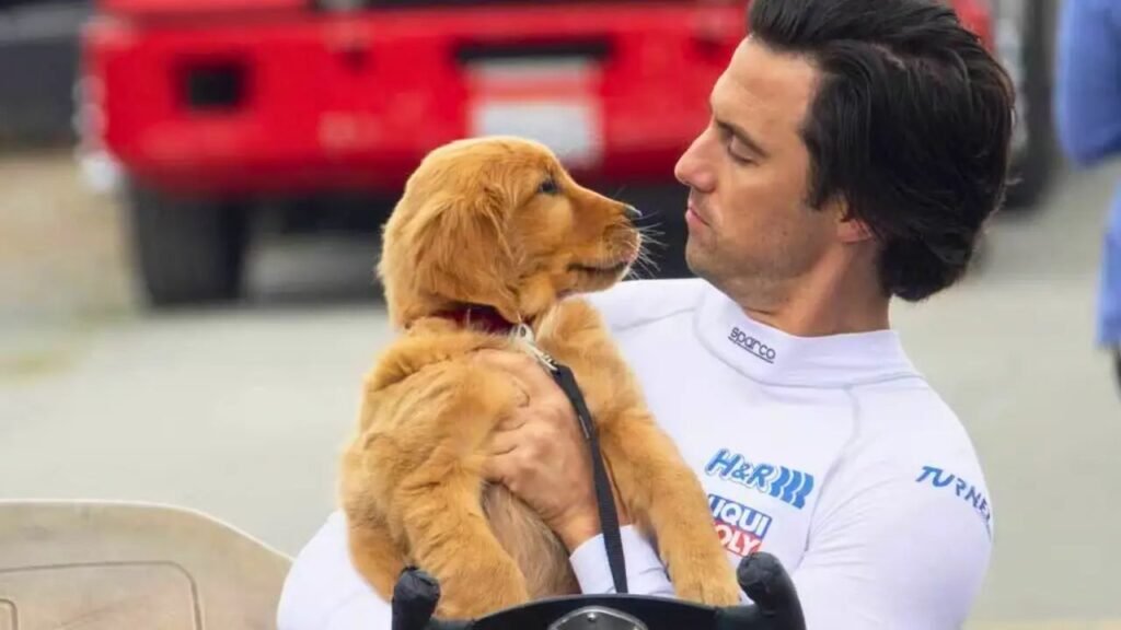 4 filmes perfeitos para quem adorou Meu Amigo Enzo que estão no streaming Meu Amigo Enzo