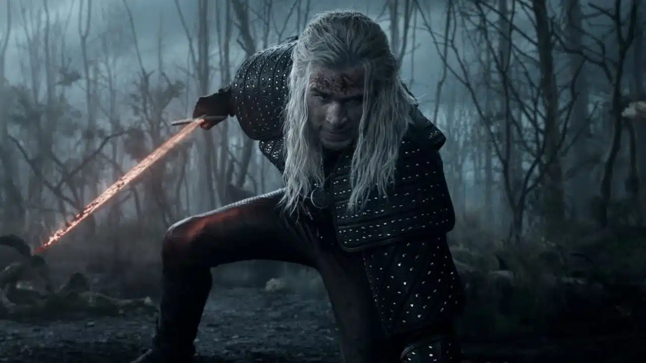 The Witcher The Witcher