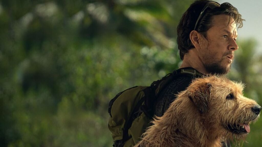 Mark Wahlberg estrela novo e forte filme baseado em história real no HBO Max Uma Prova de Coragem