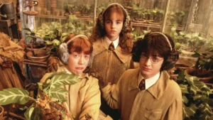 Imagem destacada - Série de TV de Harry Potter terá gravações até 2026 e aposta pesada em efeitos digitais, diz HBO