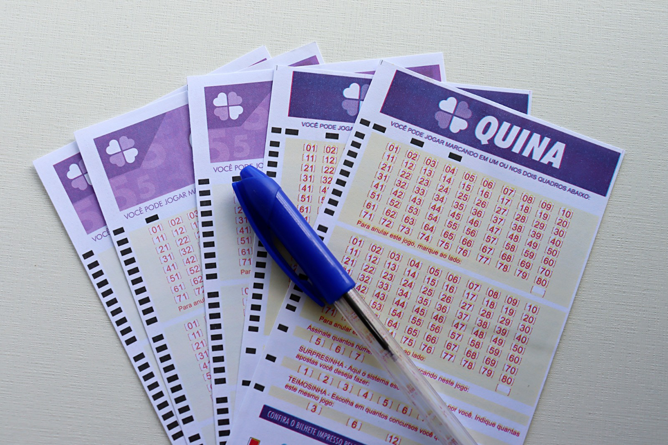 Quina: levantamento aponta cinco dezenas mais sorteadas em 30 anos - Imagem do artigo