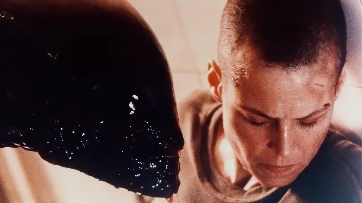 James Cameron critica Alien 3, mas poupa David Fincher pelas mudanças radicais