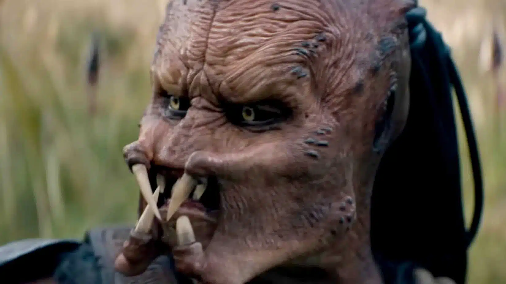 Predator: Badlands conquista o topo do streaming antes mesmo de chegar ao Disney+ - Imagem do artigo original