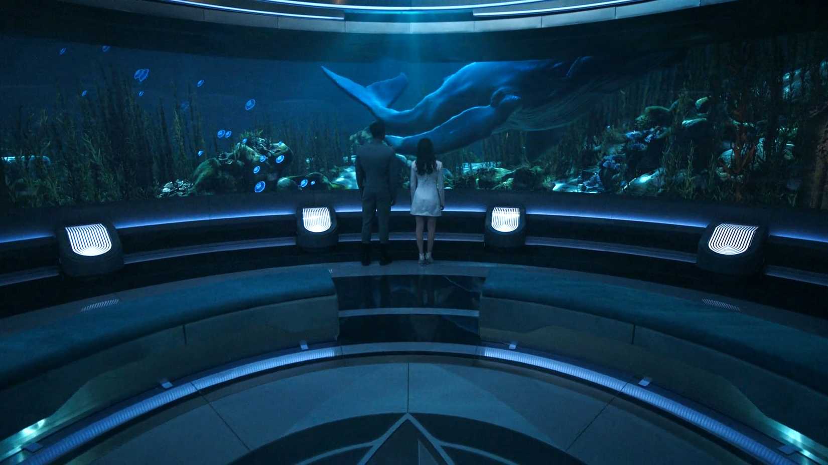 Baleias jubarte retornam em Star Trek: Starfleet Academy e roubam a cena na nova série - Imagem do artigo original