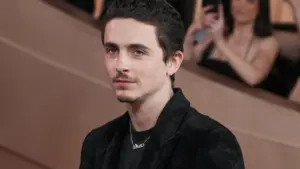 CRÍTICA | Timothée Chalamet aponta Wonka como seu papel mais arriscado Imagem destacada - CRÍTICA | Timothée Chalamet aponta Wonka como seu papel mais arriscado