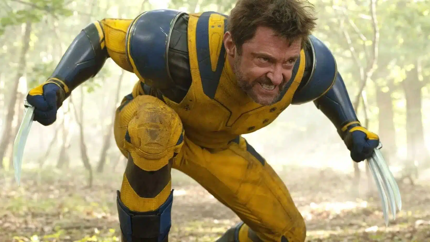ELENCO | Daniel Radcliffe descarta substituir Hugh Jackman como Wolverine no MCU - Imagem do artigo original