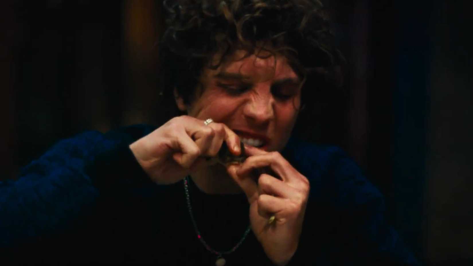 ESTREIA | Rosebush Pruning: trailer destaca Elle Fanning cercada por família violenta em suspense satírico - Imagem do artigo original