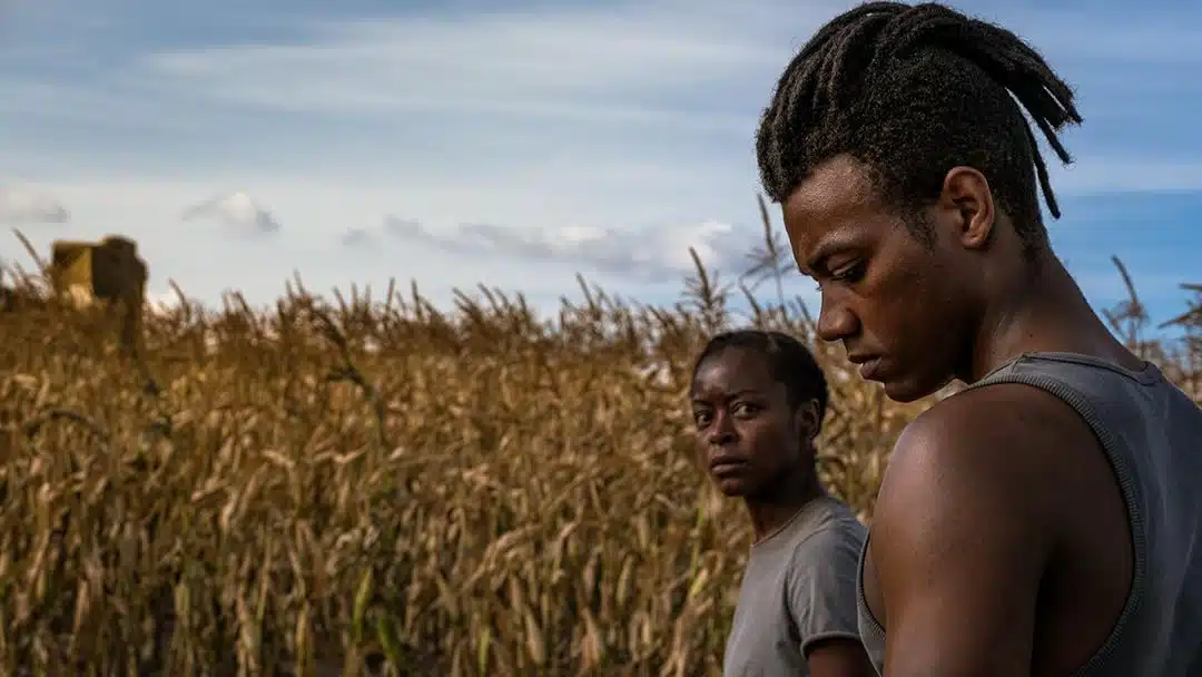 personagem no meio do milharal em 40 Acres em cena de tensão no filme