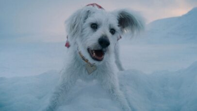 Krypto Supercão DCU série animada James Gunn