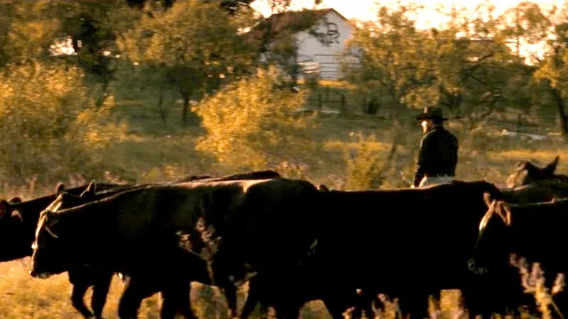 Rip Wheeler em Dutton Ranch durante sacrifício do rebanho em cena dramática de Yellowstone