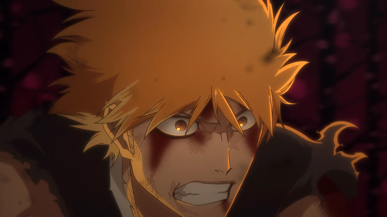 Bleach