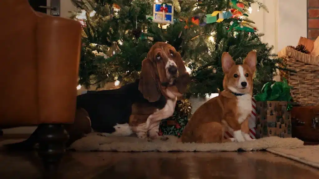 O Natal Perfeito de um Cachorro: trailer da Netflix mostra filhote que pode salvar o Natal O Natal Perfeito de um Cachorro