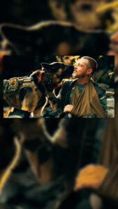 Brad Pitt e o cão Odin sobrevivem juntos ao Alasca no novo filme da Paramount — imagem do Story